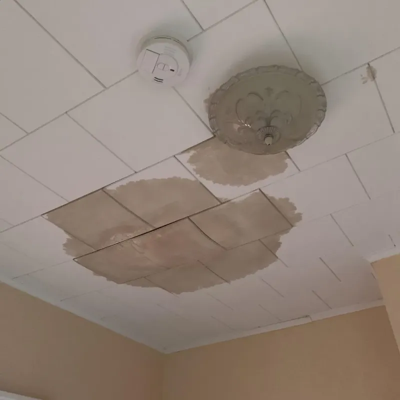 Ceiling Water Damage Repair in Hunter, OH