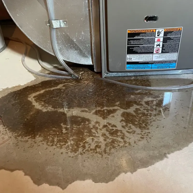 Pipe Burst and Leak Restoration in Hunter, OH